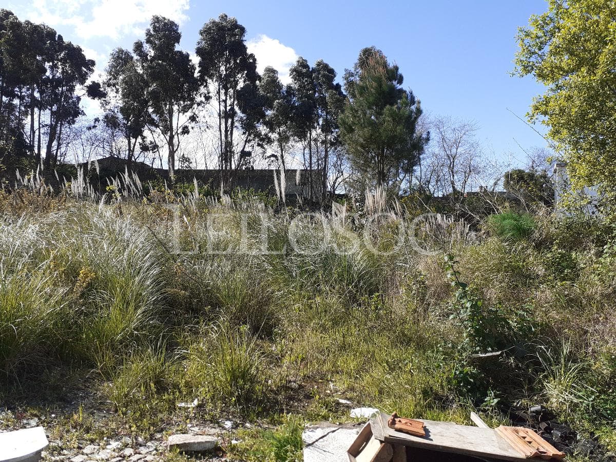 1/2 Usufruto de Terrenos · Vila Nova de Gaia — image 3