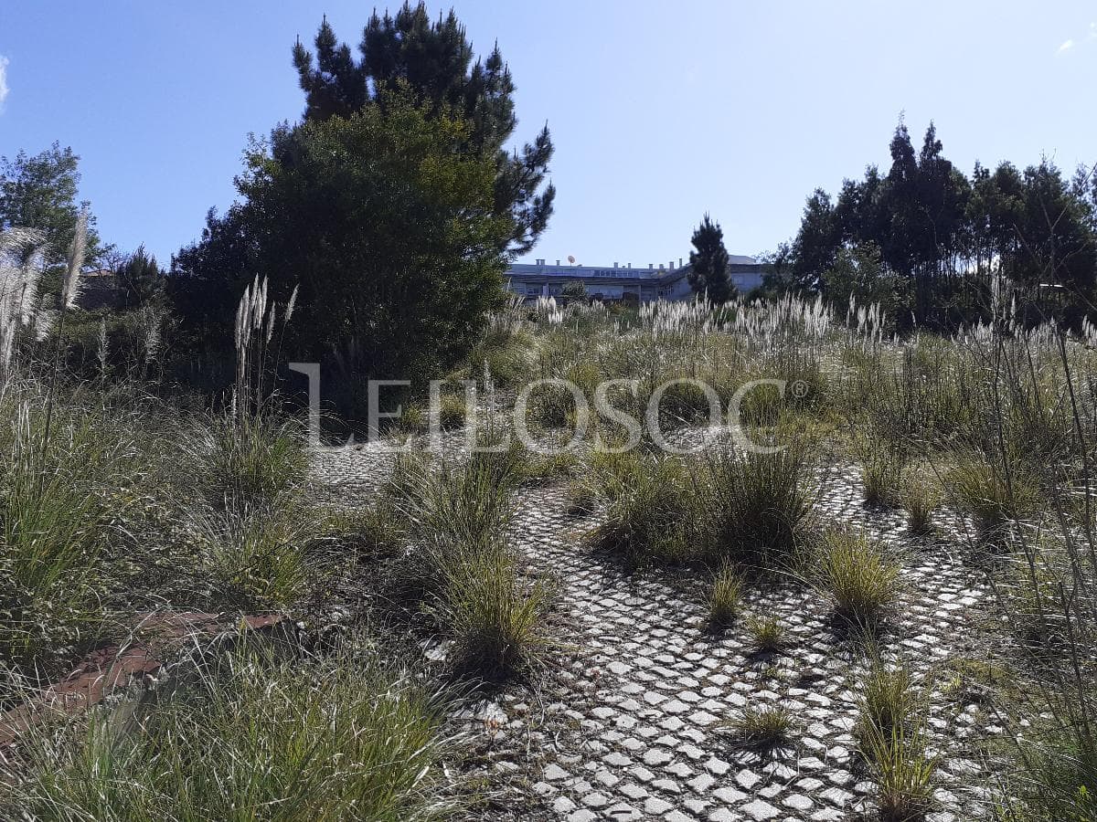 1/2 Usufruto de Terrenos · Vila Nova de Gaia — image 5