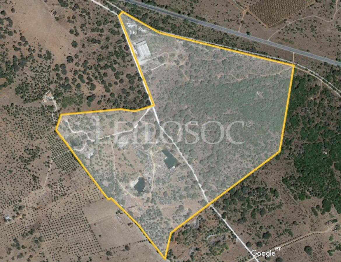 Herdade da Casqueira · Estremoz — imagen 2