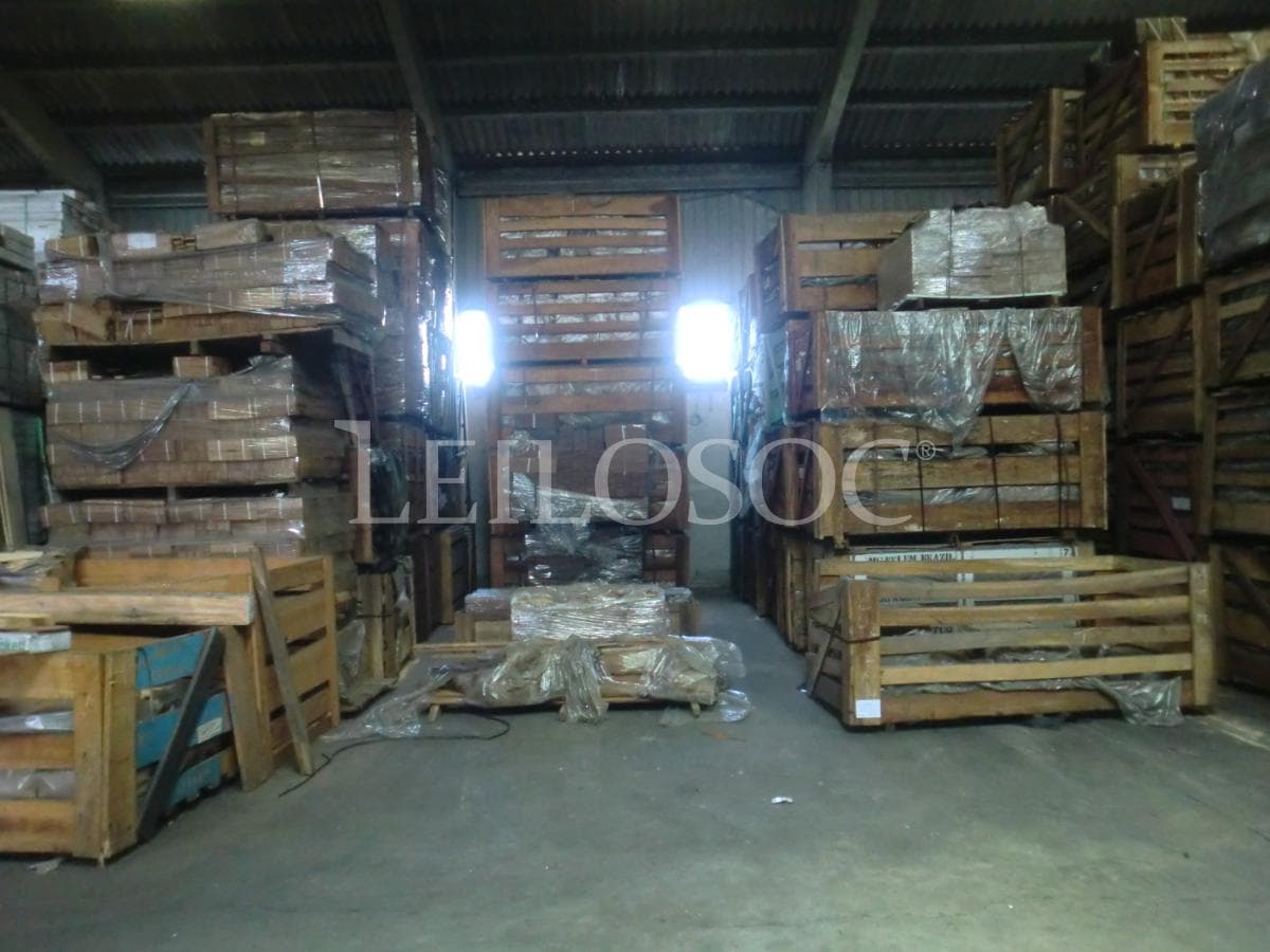Madera — imagen 4