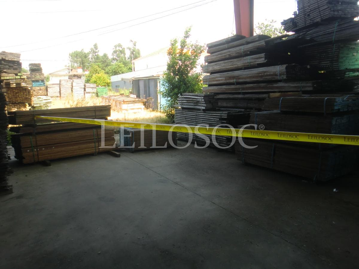 Madera — imagen 3