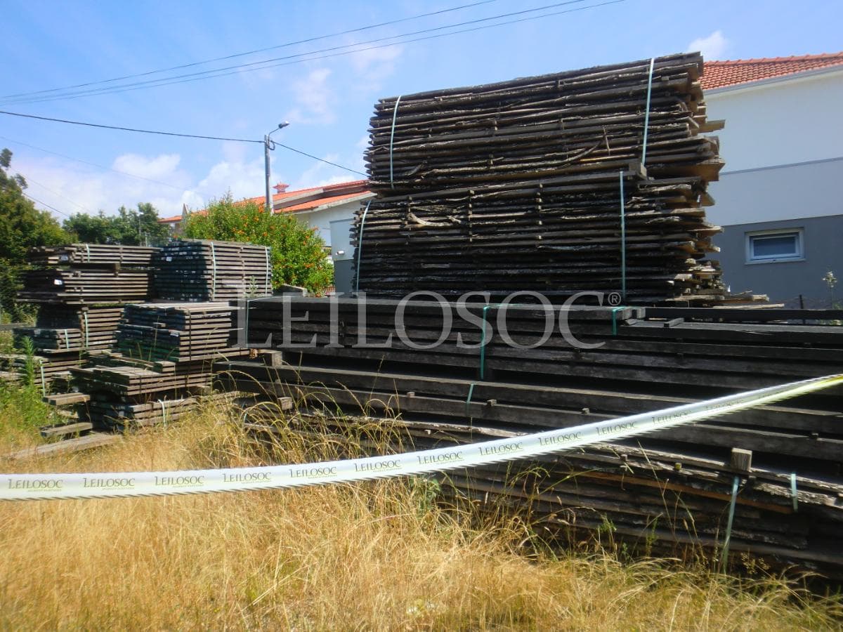 Wood — image 1