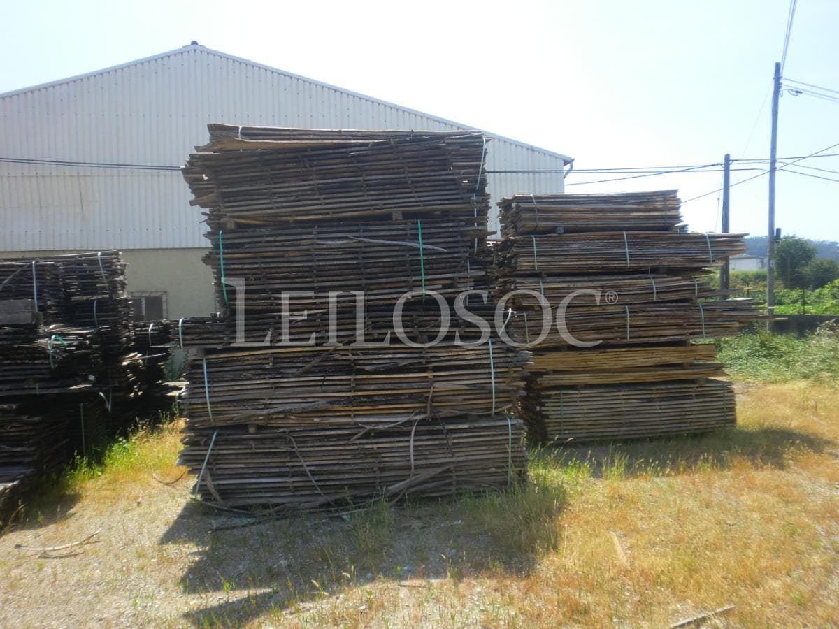 Madera — imagen 3