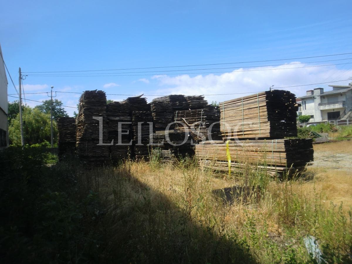 Madera — imagen 1