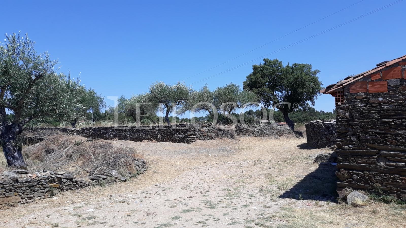 Terrenos · Castelo Branco — imagen 9
