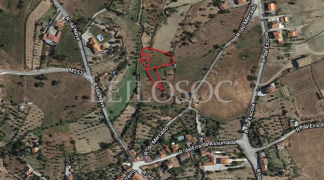Terrenos · Castelo Branco — imagen 14