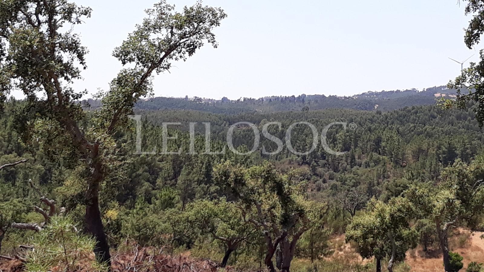 Terreno · Castelo Branco — imagen 3