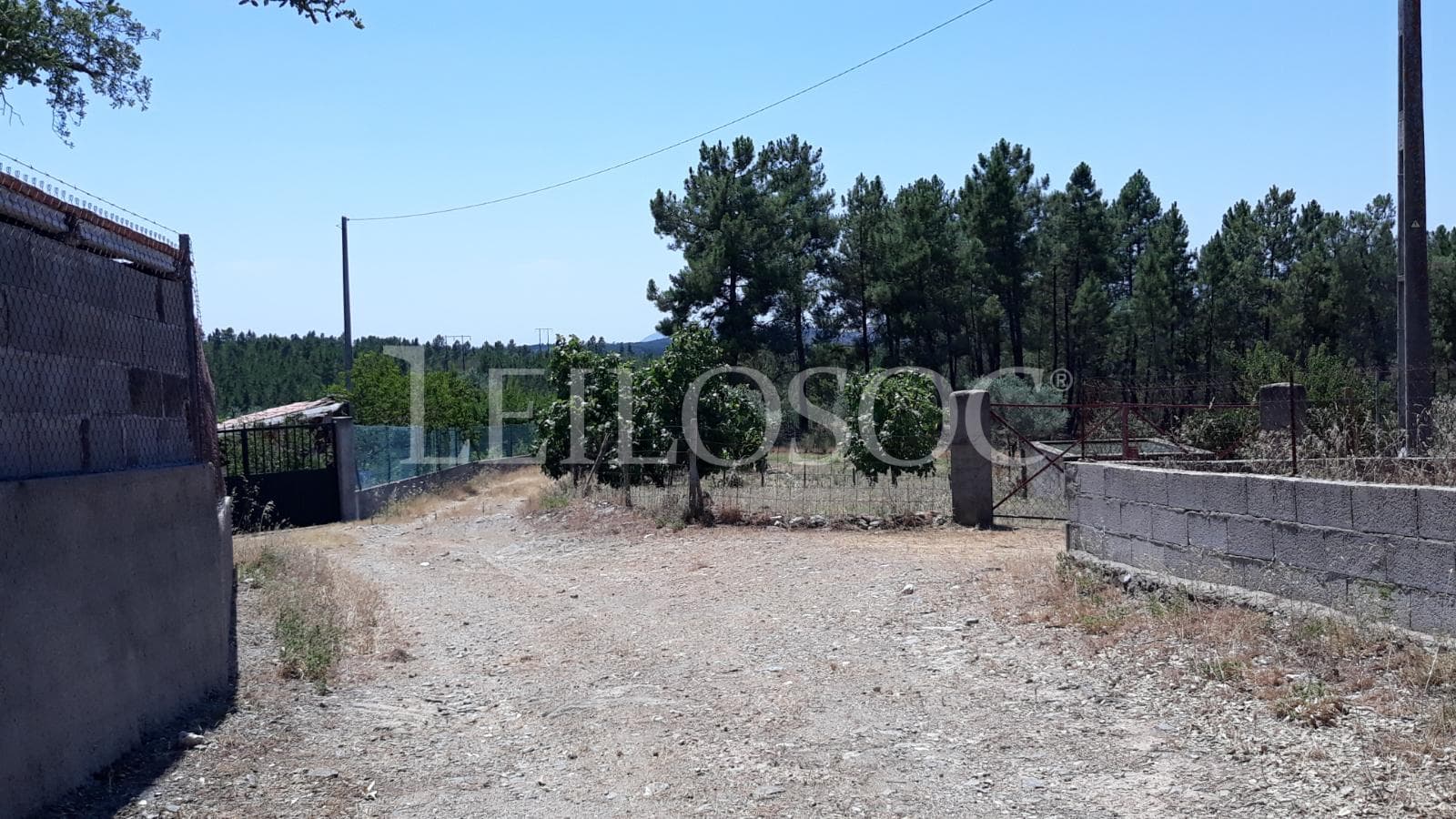 Terreno · Castelo Branco — imagen 2