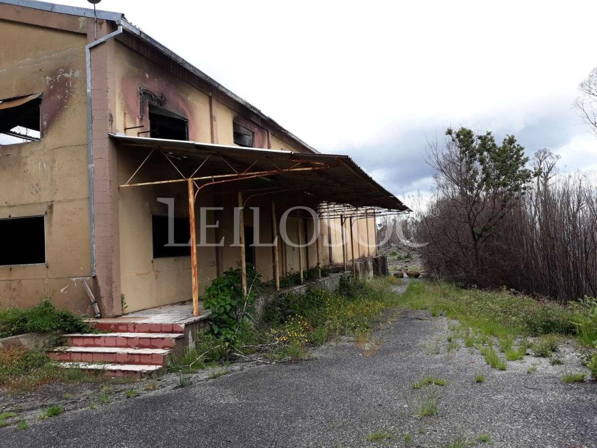 Pavilhões · Terrenos · Armazéns · Mundaxa, Tondela — imagem 3