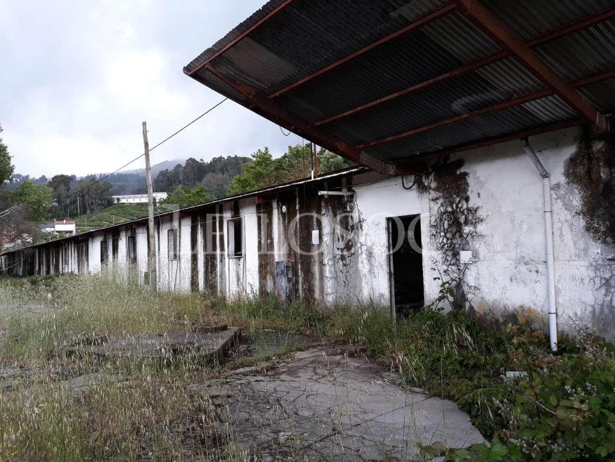 Pavilhões · Terrenos · Armazéns · Mundaxa, Tondela — imagem 4
