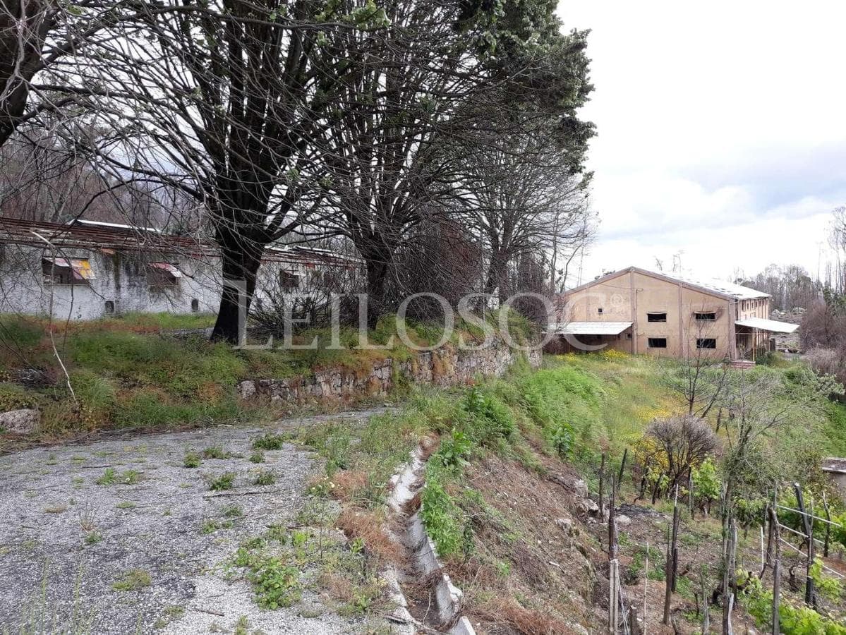 Pavilhões · Terrenos · Armazéns · Mundaxa, Tondela — imagem 7