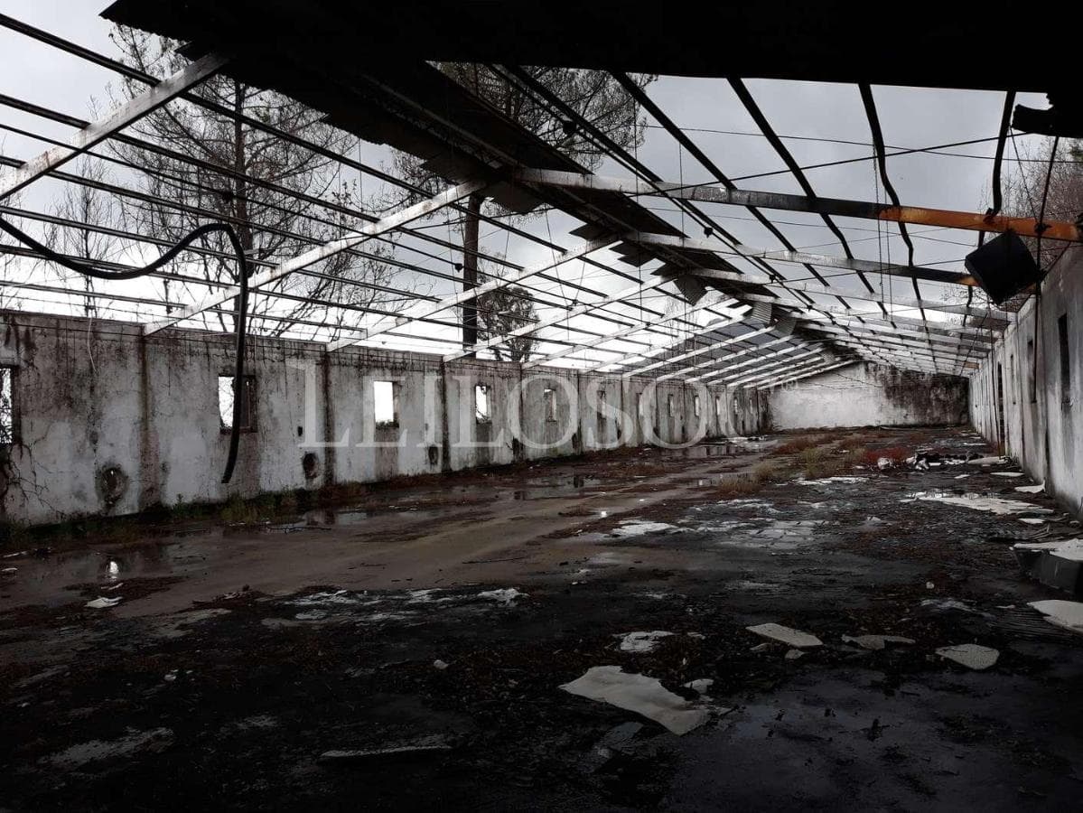 Pavilhões · Terrenos · Armazéns · Mundaxa, Tondela — imagem 8