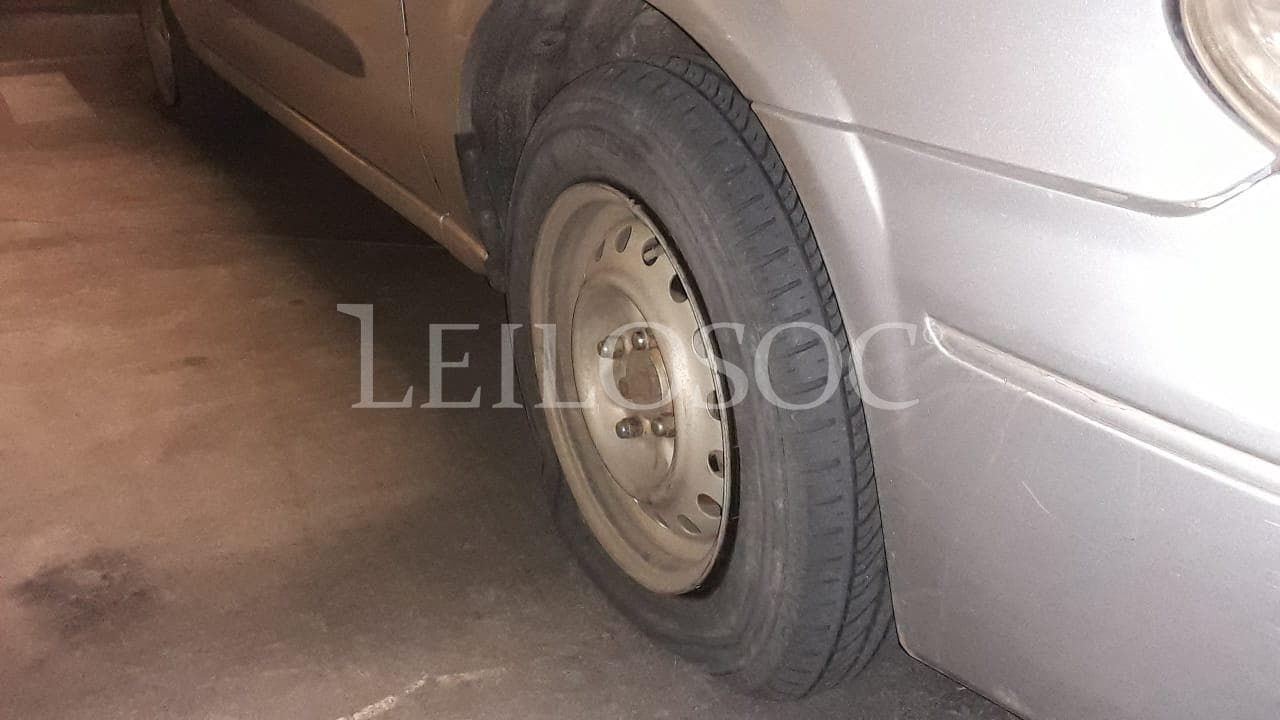 Nissan Sunny · — imagen 7