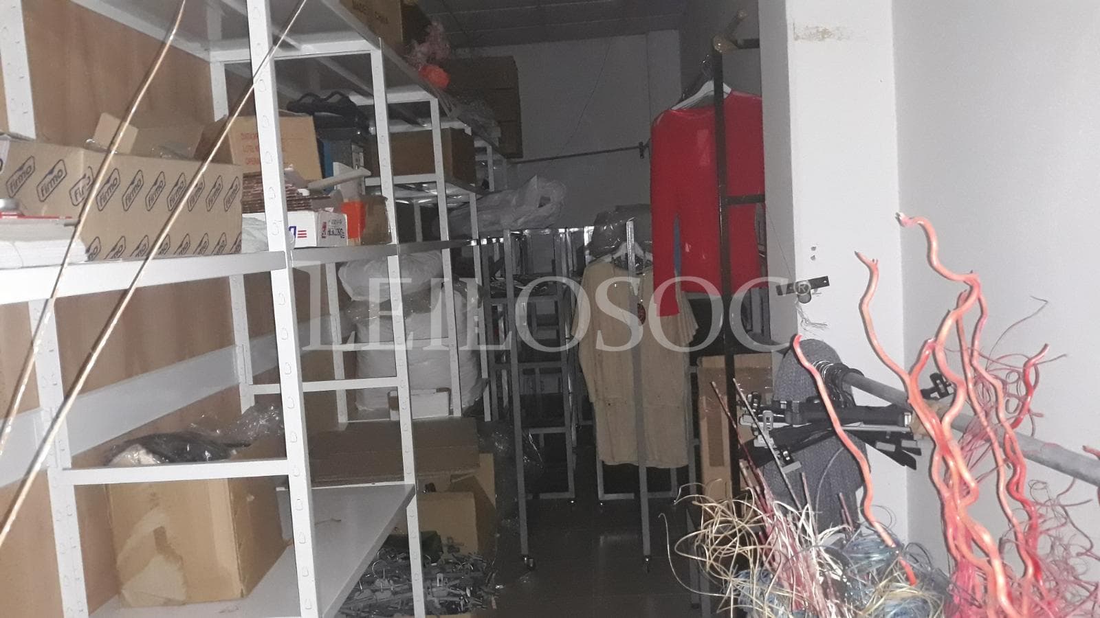 Loja · Pombal — imagen 9