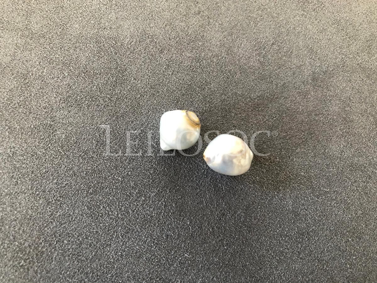 Lote 07 - Verbas 306 a 321 — imagen 5