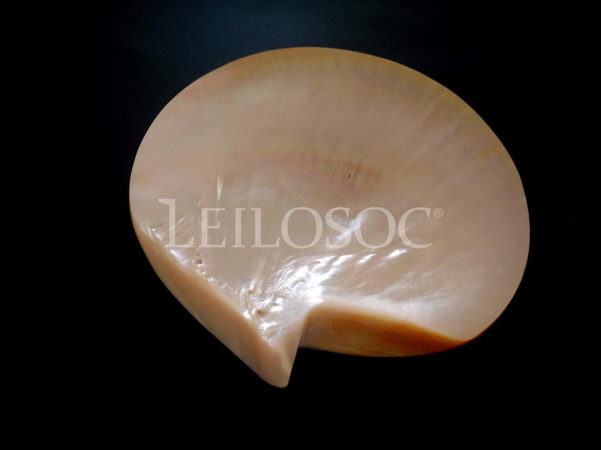 Lote 07 - Verbas 306 a 321 — imagen 6
