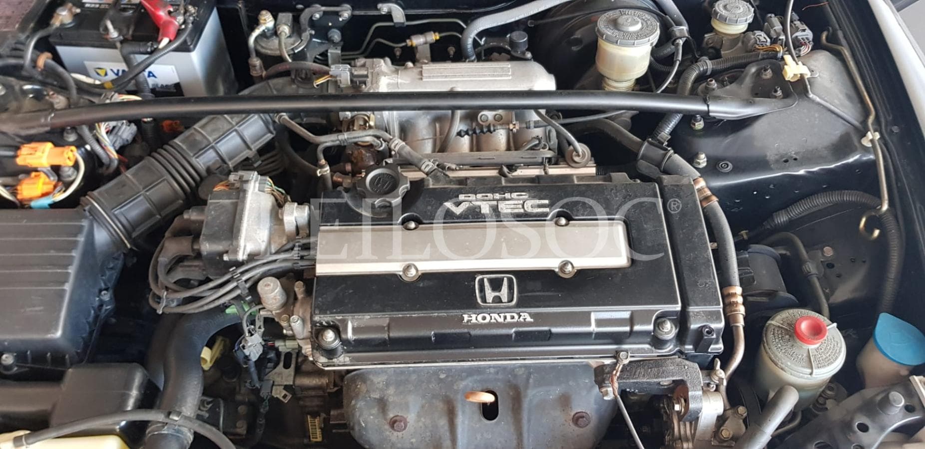 Honda CRX cabrio — imagem 8