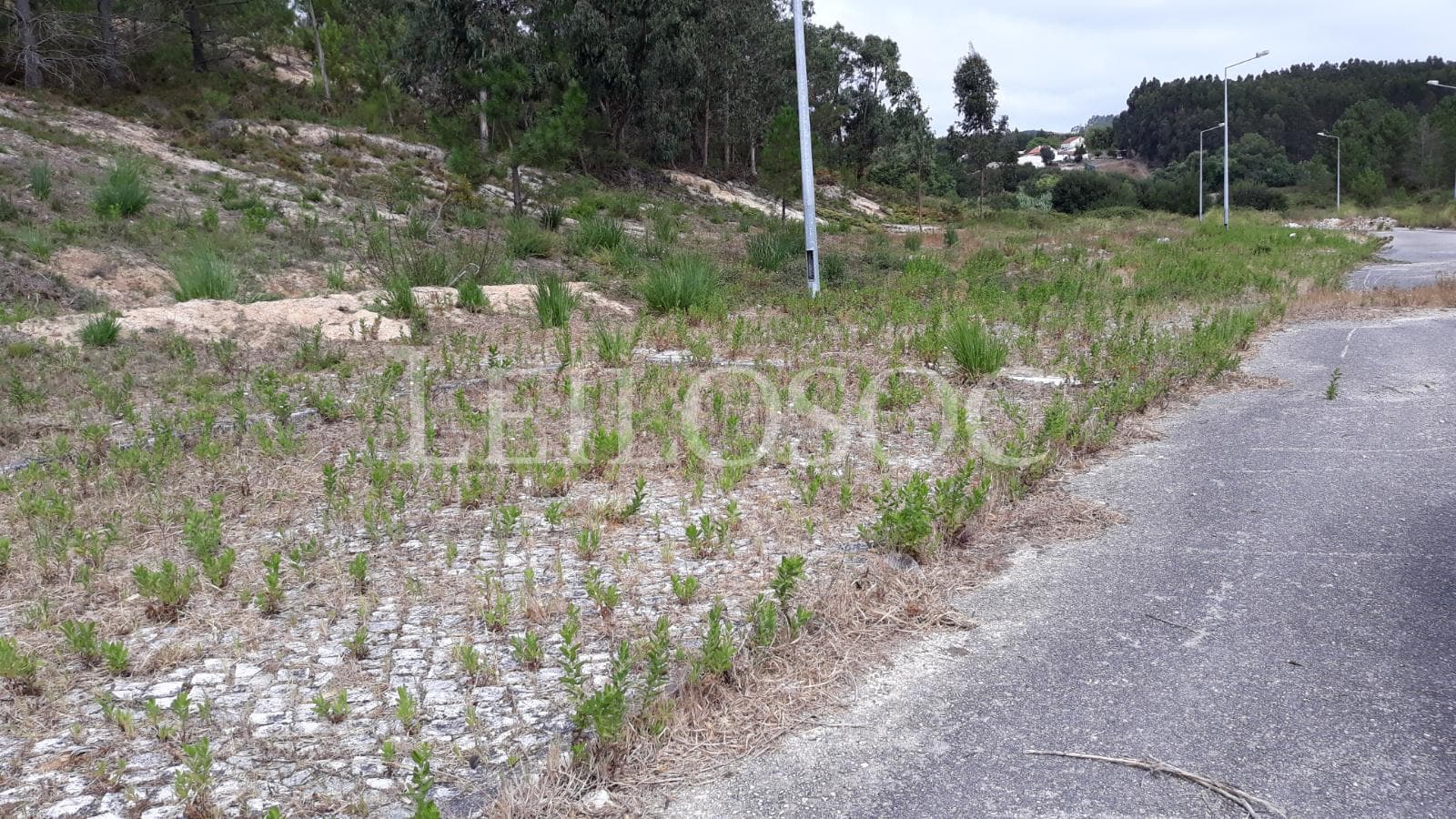 Lote para Construção