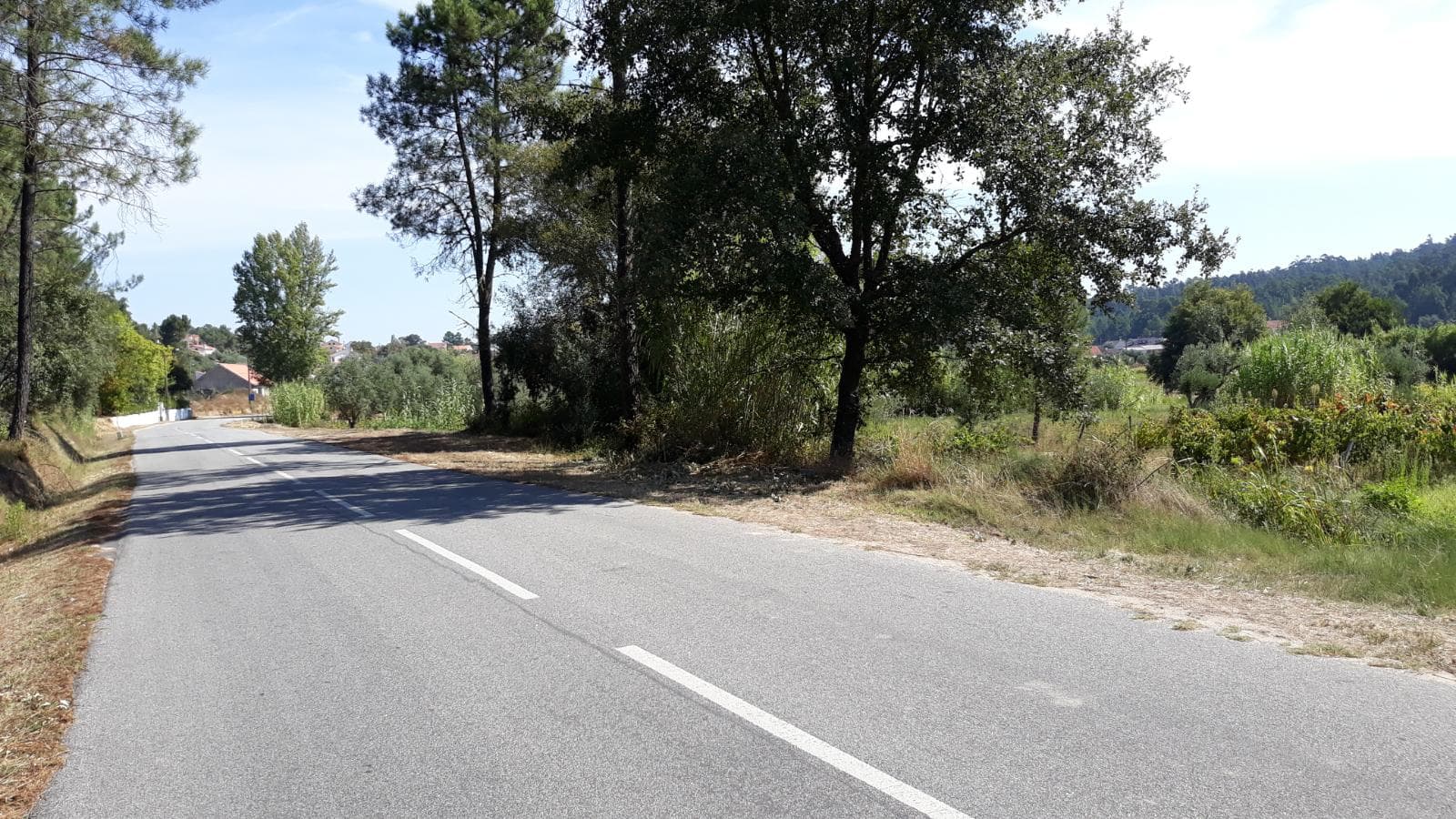 1/3 de Terreno · Ourém — imagen 1