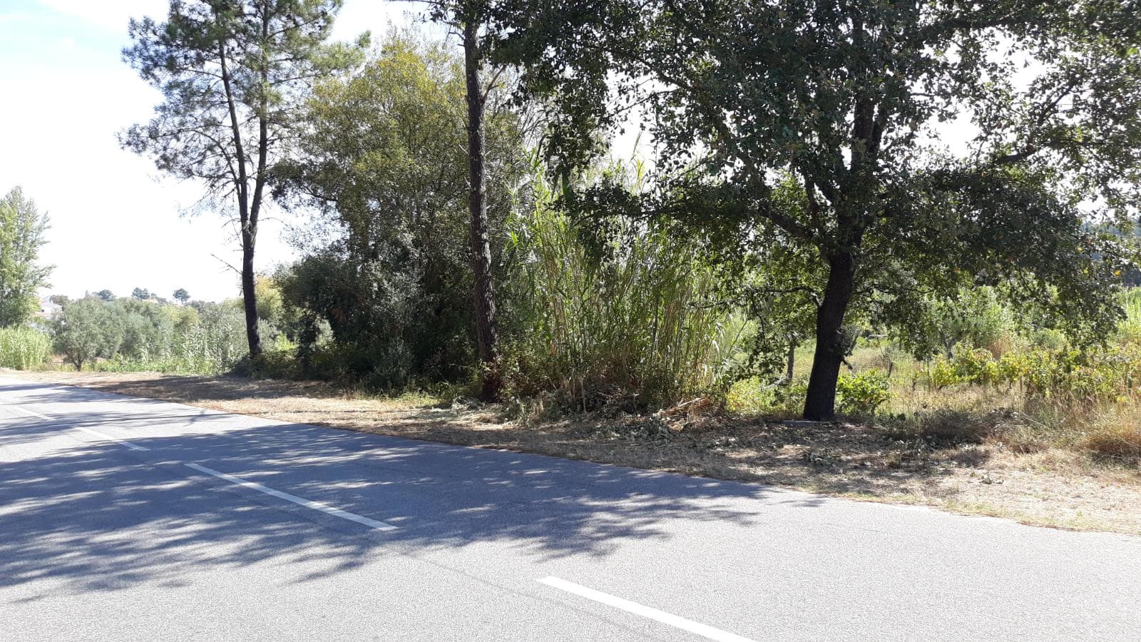 1/3 de Terreno · Ourém — imagen 3