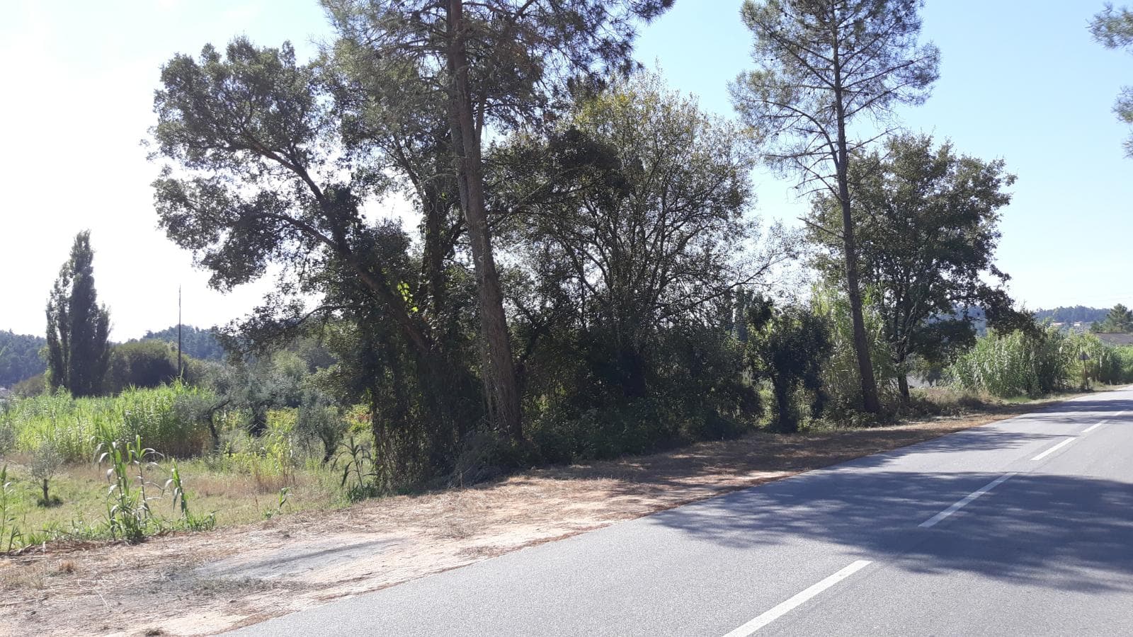 1/3 de Terreno · Ourém — imagen 2