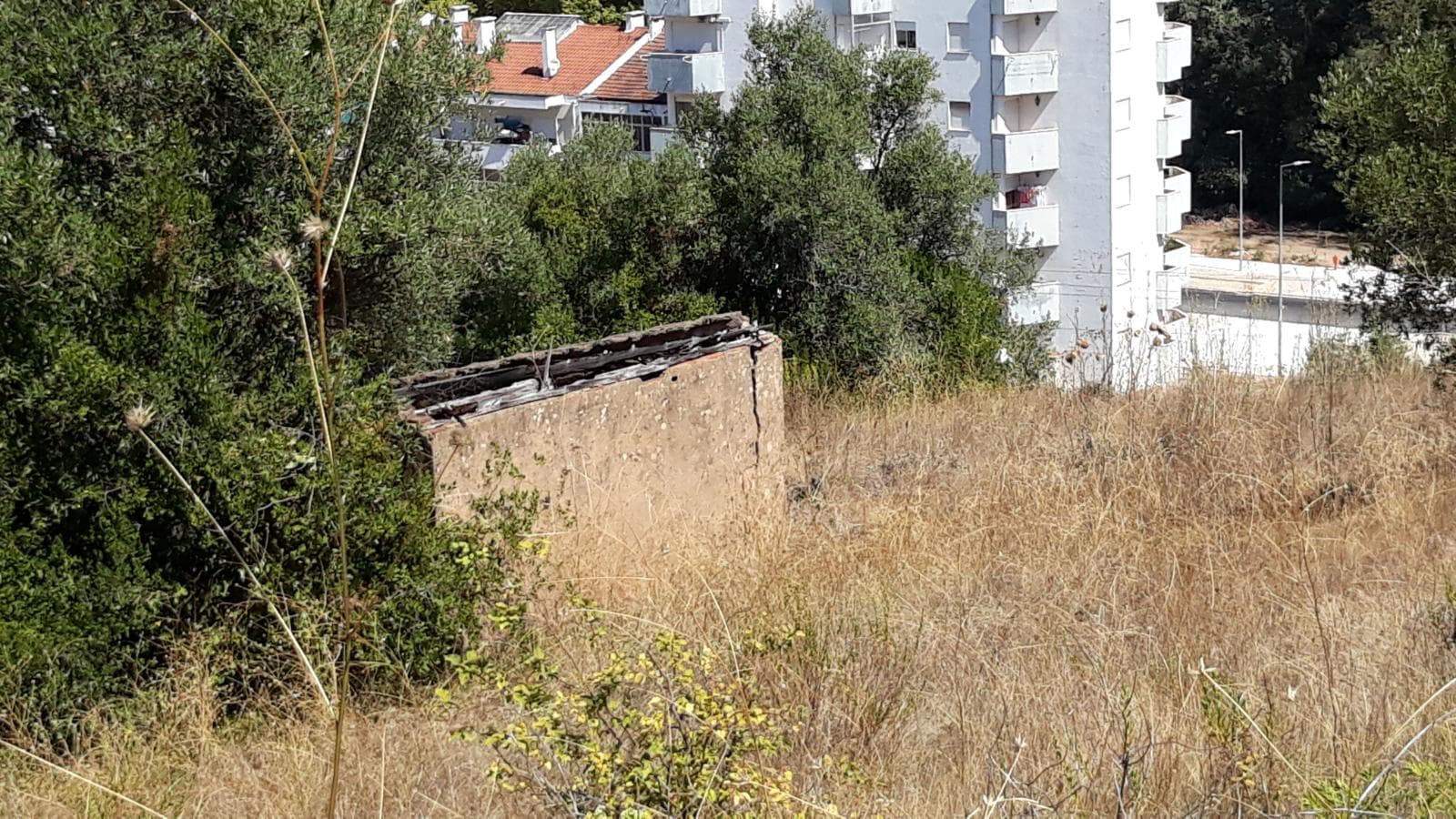 Moradia (Ruínas) + Terreno · Tomar — imagen 2