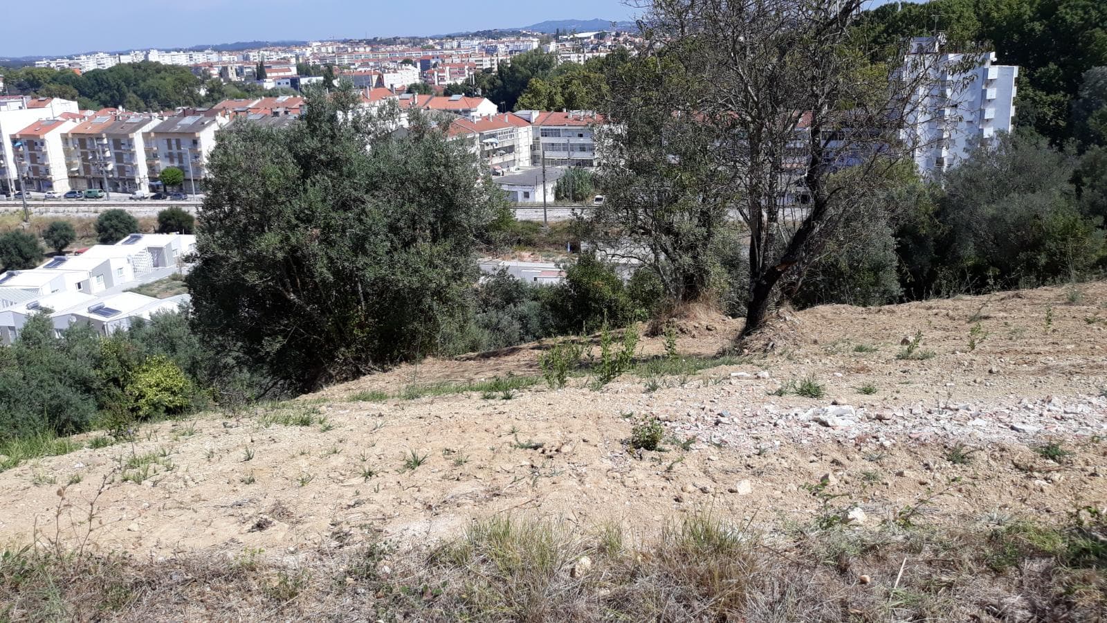 Moradia (Ruínas) + Terreno · Tomar — imagen 1