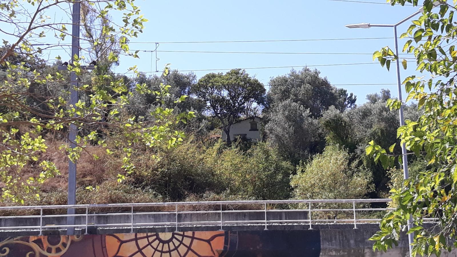 Moradia (Ruínas) + Terreno · Tomar — imagen 7
