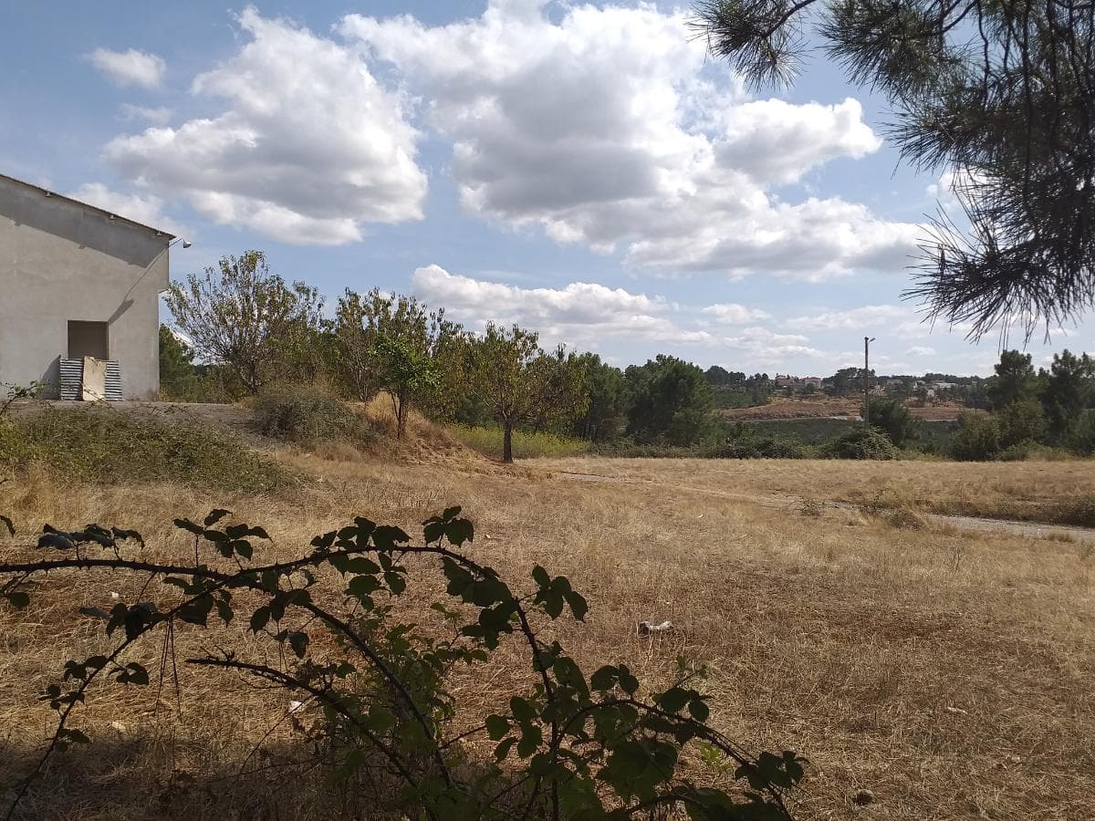 Terreno com benfeitoria · Vila Real — imagem 4