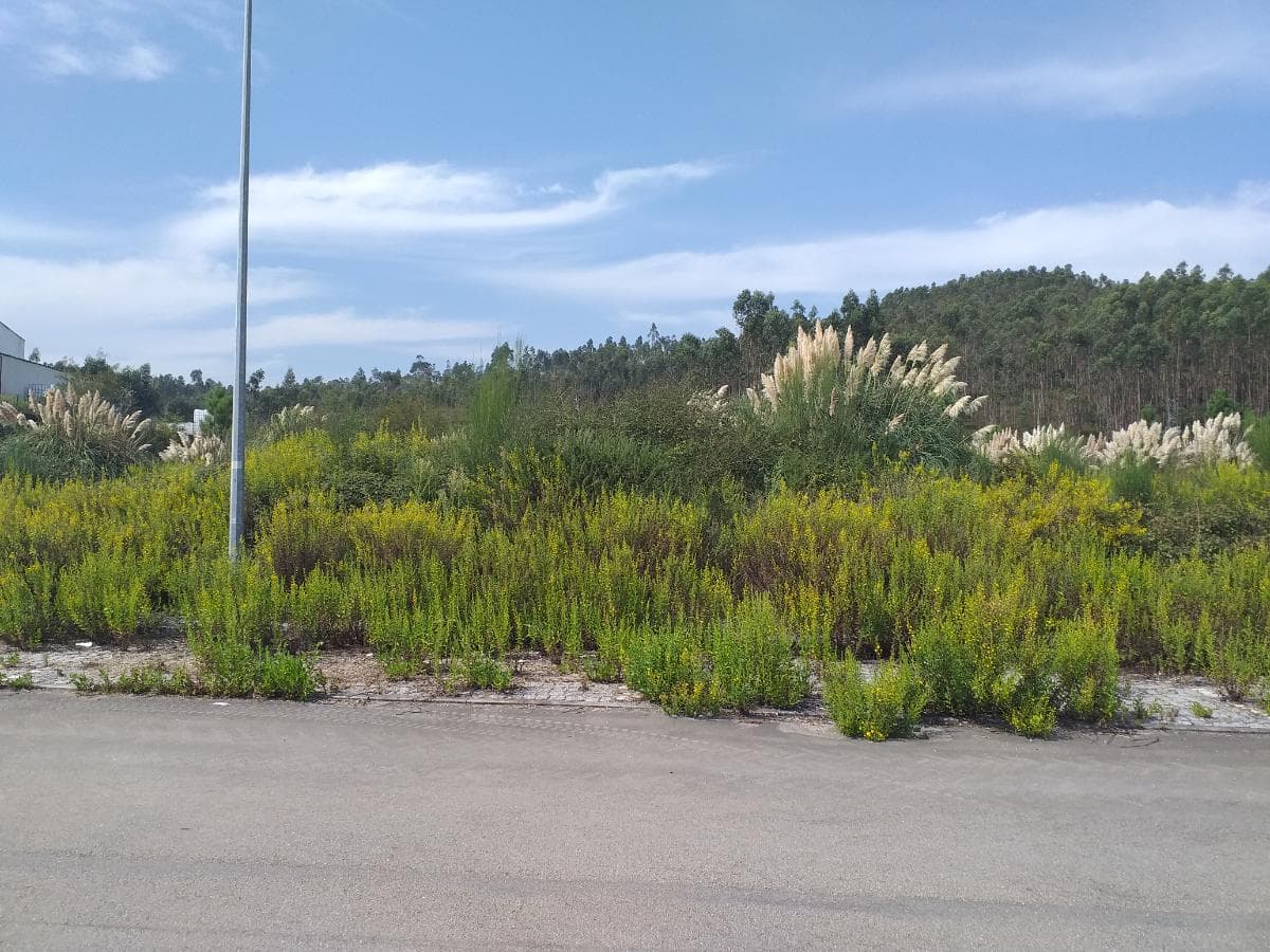 Lote para Construção · Santo Tirso