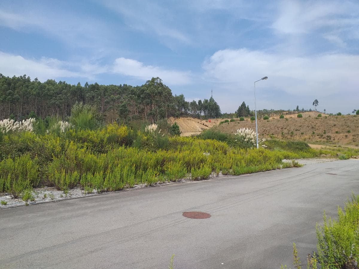 Lote para Construção · Santo Tirso