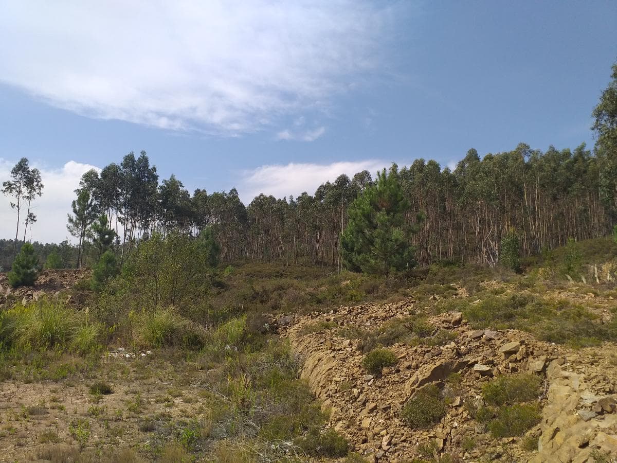 Parcela para Construcción · Santo Tirso — imagen 4