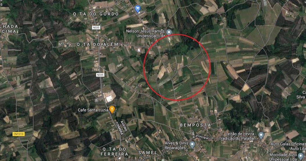 Terreno · Anadia — image 1