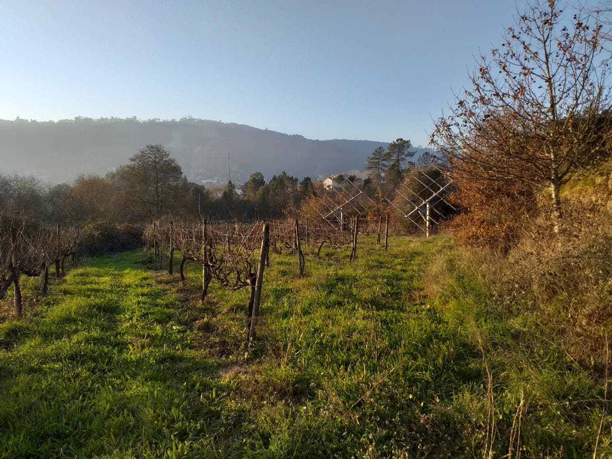 Quinta · Moradia V4 + Terrenos · Ponte de Lima — imagen 4