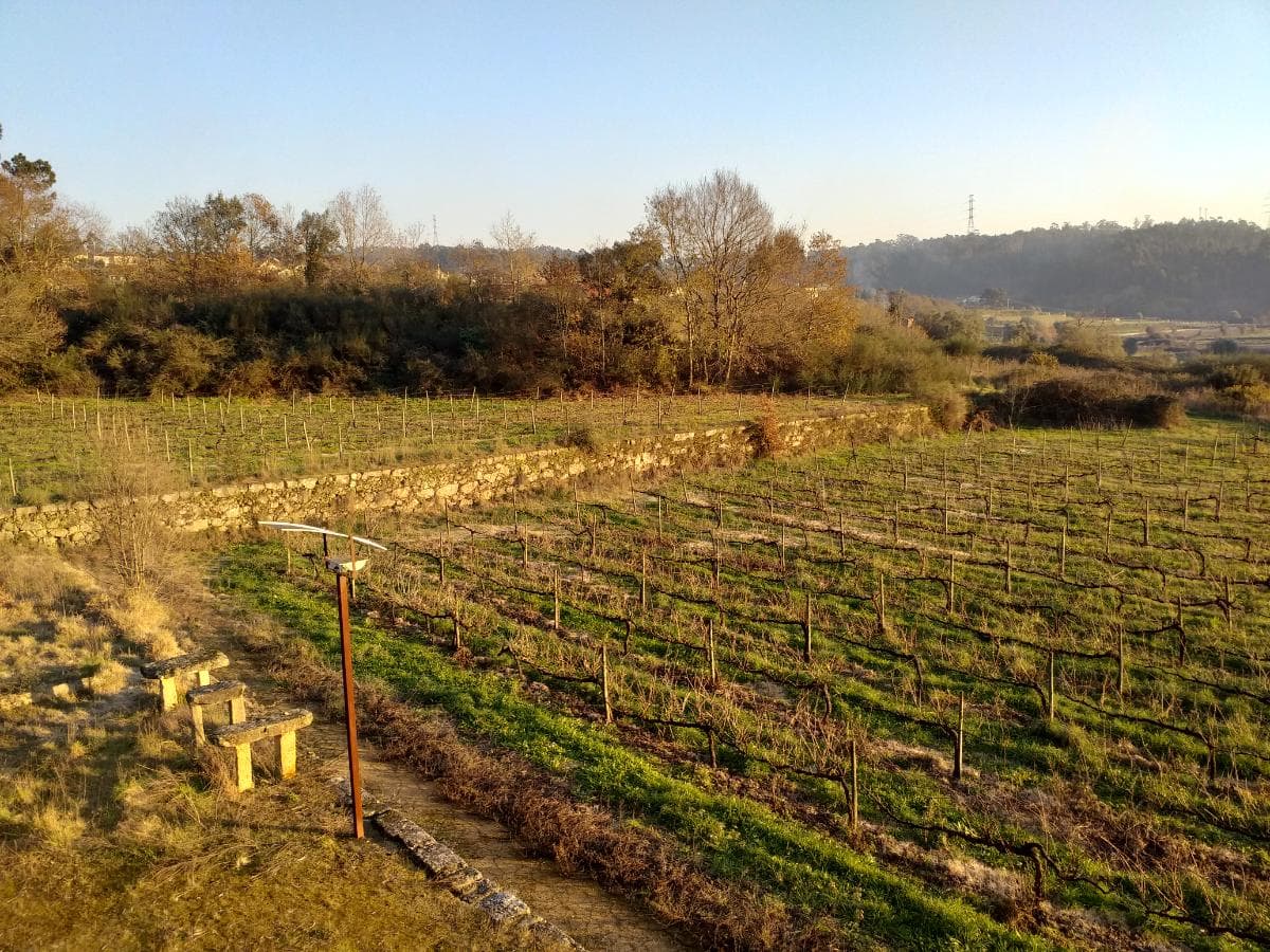 Quinta · Moradia V4 + Terrenos · Ponte de Lima — imagen 7