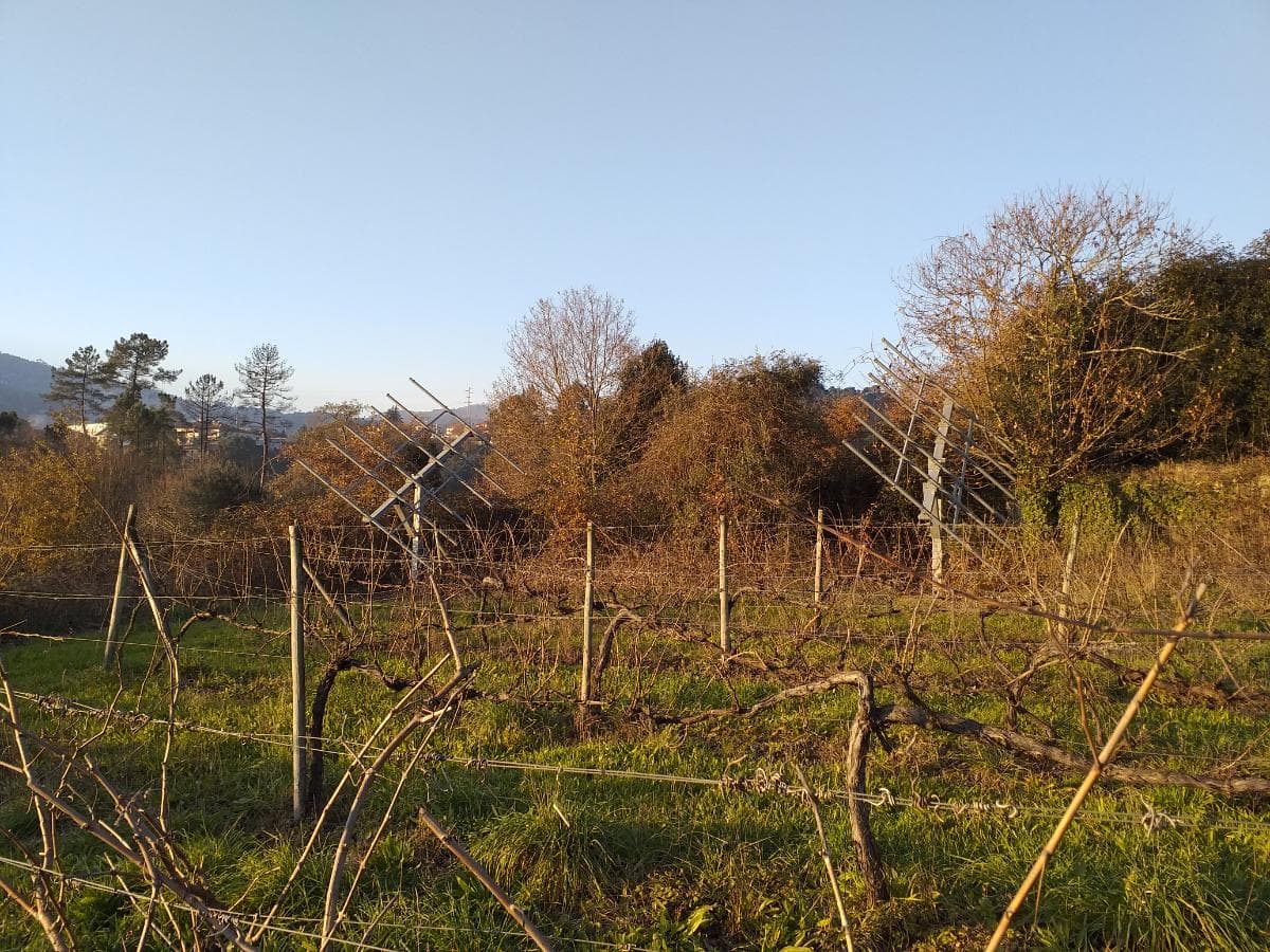Quinta · Moradia V4 + Terrenos · Ponte de Lima — imagen 10
