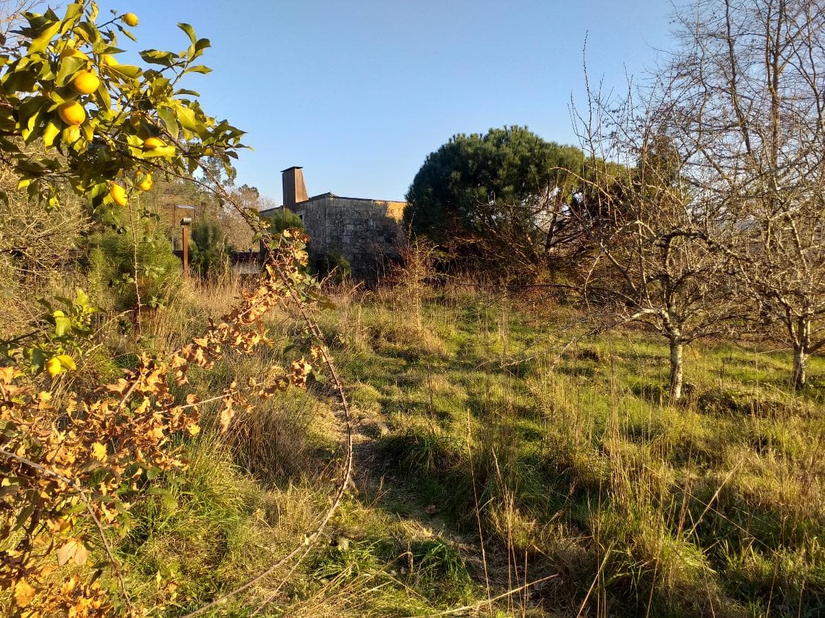 Quinta · Moradia V4 + Terrenos · Ponte de Lima — imagen 5