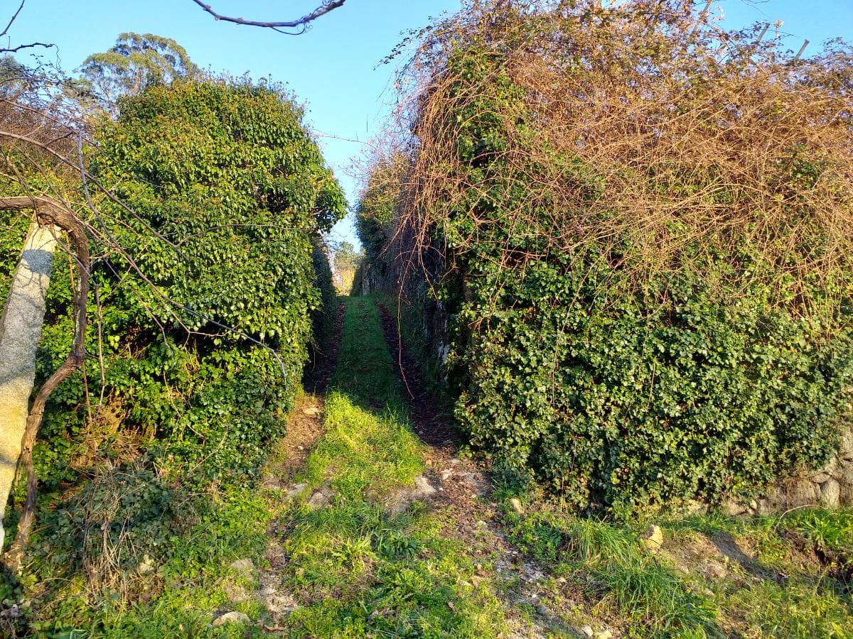 Quinta · Moradia V4 + Terrenos · Ponte de Lima — imagen 8