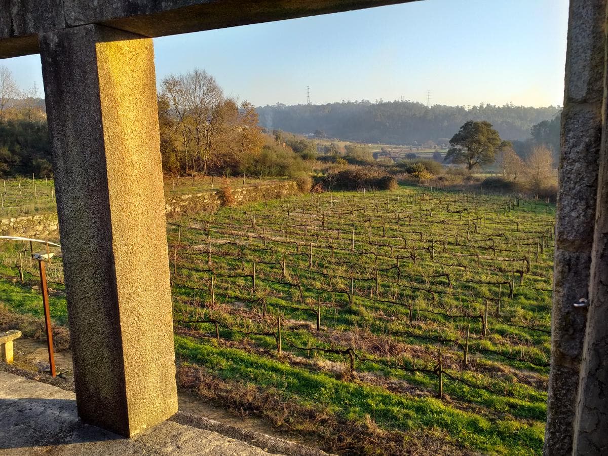 Quinta · Moradia V4 + Terrenos · Ponte de Lima — imagen 35
