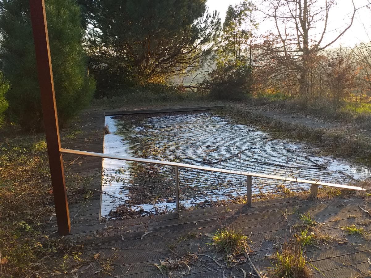 Quinta · Moradia V4 + Terrenos · Ponte de Lima — imagen 37