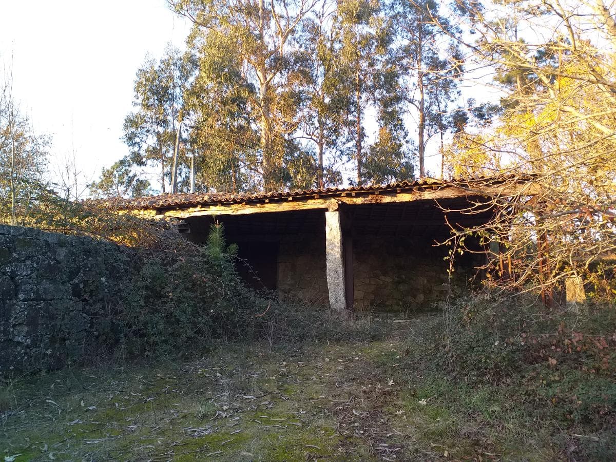 Quinta · Moradia V4 + Terrenos · Ponte de Lima — imagen 39