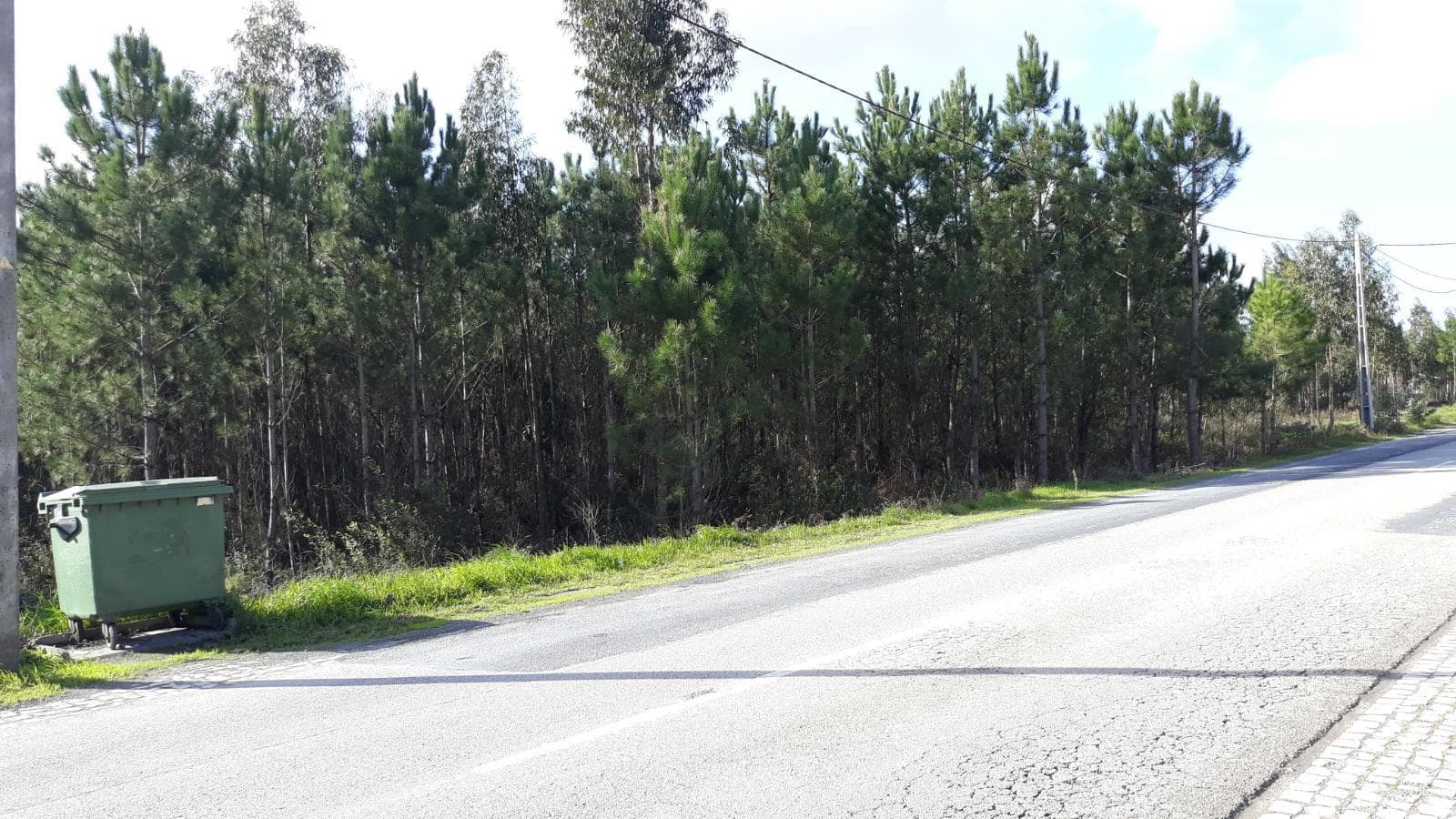 Terrenos · Leiria — imagen 6
