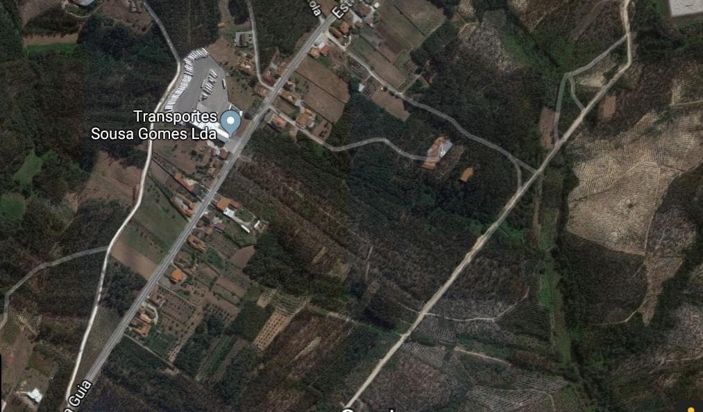Terrenos · Leiria — imagen 9