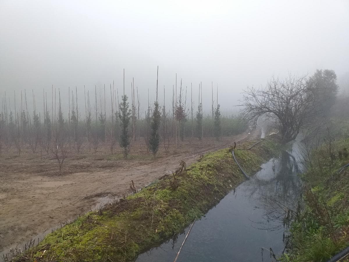 Terreno · Amarante — image 3