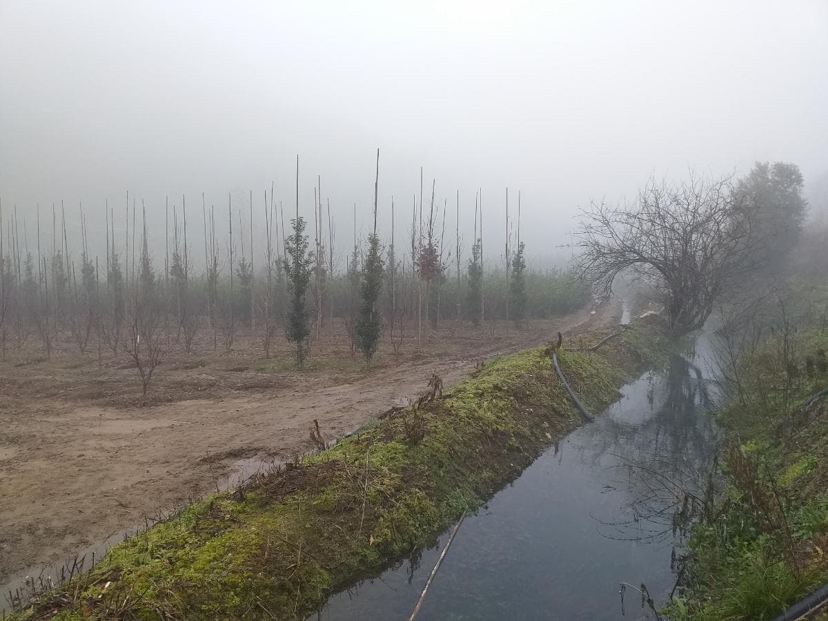 Terreno · Amarante — image 1