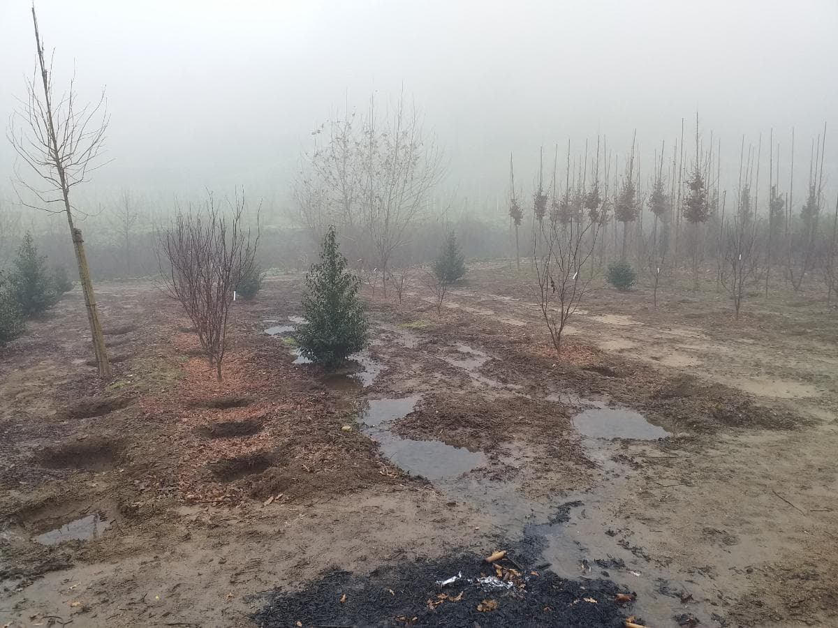 Terreno · Amarante — image 5