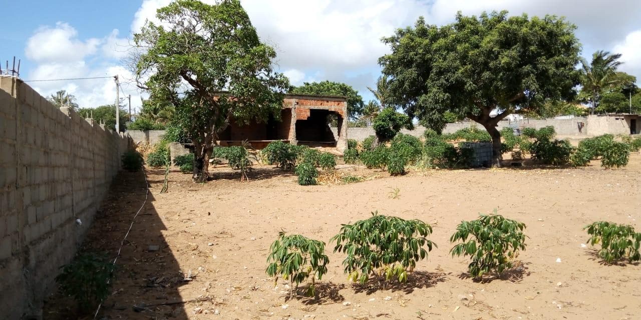 Terreno vedado · — image 11