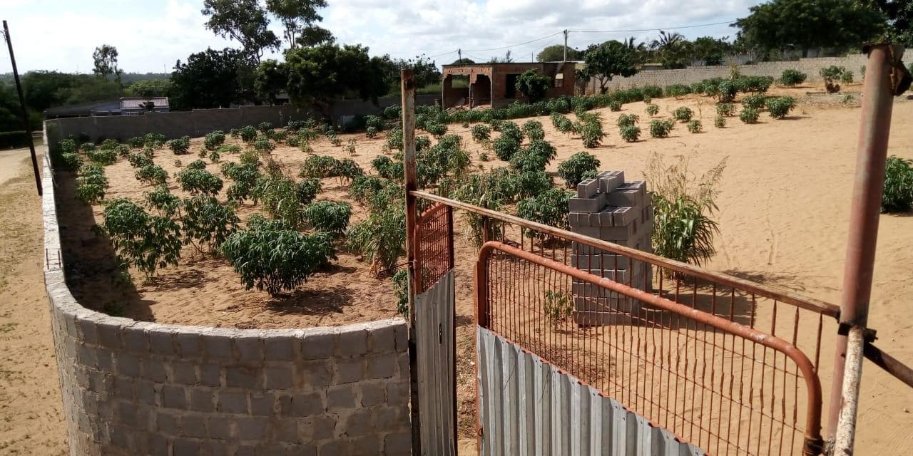 Terreno vedado · — image 12