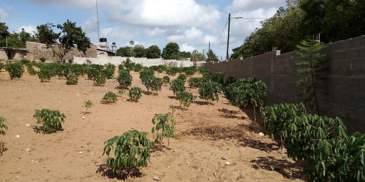 Terreno vedado · — image 14