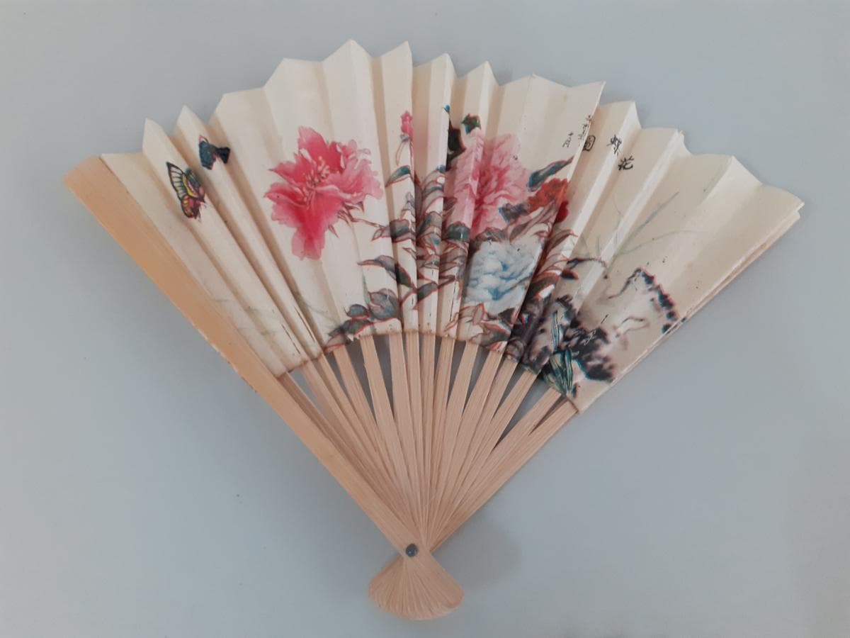 Abanicos — imagen 6